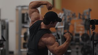 IFBB Pro Arm Workout [upl. by Ira]