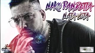 NIKO PANDETTA – NATA VOTA Remix [upl. by Acirtal]