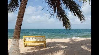 Video Tour of Placencia Beach [upl. by Waldack]