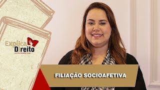 Explica Direito Filiação Socioafetiva  2019 [upl. by Cronin205]