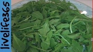 Why Eat Arugula [upl. by Nosyla929]