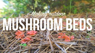 Outdoor Mushroom Beds  The Easiest Way to Grow Edible Mushrooms in Your Garden or Back Yard [upl. by Regina]