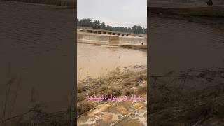 ‏أمطار وسيول المجمعة ￼ [upl. by Airdnaxila]