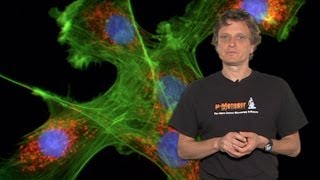 Microscopy Introduction to Fluorescence Microscopy Nico Stuurman [upl. by Cale]