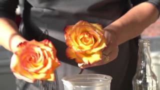 How to Preserve Flowers with Wax [upl. by Marie-Ann545]