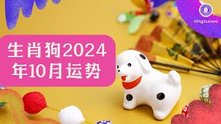 2024年10月属狗人运势 属狗2024年10月运程生肖狗 2024年运势 10月运势 属狗运势 [upl. by Winnick]