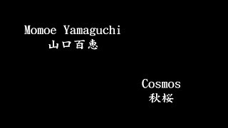 Momoe Yamaguchi 山口百恵 秋桜 Cosmos sub japanese\romaji [upl. by Atival]