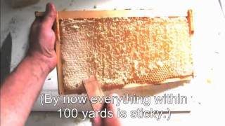 Three Simple Ways To Process Honey [upl. by Rennug]