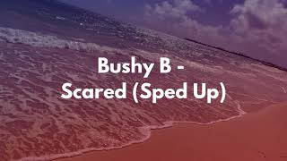 Bushy B  Scared Lyrics Me amp You TikTok Song Sped Up [upl. by Hollyanne206]