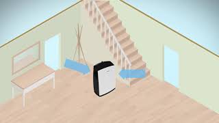 Dehumidifiers How do they work [upl. by Aleetha384]