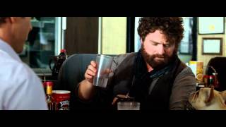 Due Date  TV Spot 7 [upl. by Brodie]