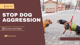 How to stop Dog Aggression quickly And easily  In a few steps [upl. by Nunnery152]