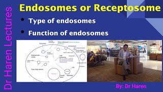 Endosomes or Receptosome [upl. by Alleyn]