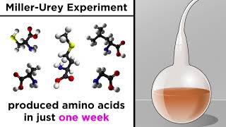 The Origin of Life on Earth [upl. by Guttery]