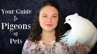 Your Guide to Pigeons as Pets [upl. by Katherina883]