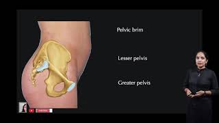 Proper Posture for a Standing Pelvic Tilt [upl. by Eimilb67]