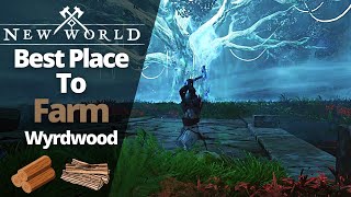 Best Place To Farm WyrdWood In New World [upl. by Calysta713]