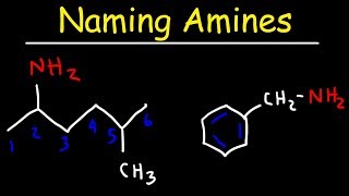 Naming Amines  IUPAC Nomenclature amp Common Names [upl. by Theresa]