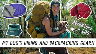 What I Bring to HIKE and BACKPACK with My Dog  Miranda in the Wild [upl. by Mcnalley]