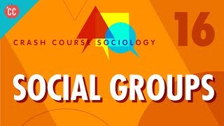 Social Groups Crash Course Sociology 16 [upl. by Okoyik]