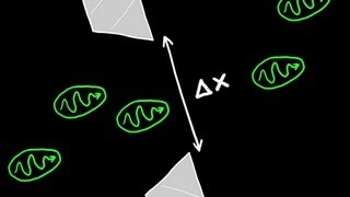 Heisenbergs Uncertainty Principle Explained [upl. by Dinsmore593]