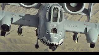 A10 Warthog Live Fire Training Mission  with live gunfire [upl. by Chapel]