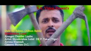 डल्ले कि बहिनी  Dalle Ki Bahini  श्री कृष्ण लुईटेल  Nepali song 20162073 [upl. by Latsirhc]