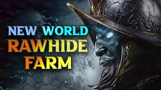 BEST New World Best Rawhide Farm Locations 2024 [upl. by Suvart126]