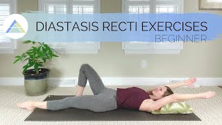 Beginner Diastasis Recti Exercises  Build deep abdominal amp pelvic floor muscle strength [upl. by Hemingway]