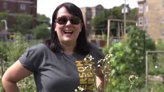 The Garden Minute Harvesting Bolted Arugula [upl. by Anivlac639]