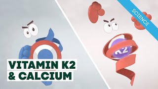 Vitamin K2 amp Calcium [upl. by Aisel]