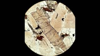 Orthopyroxene tutorial Optical mineralogy [upl. by Eelidnarb]