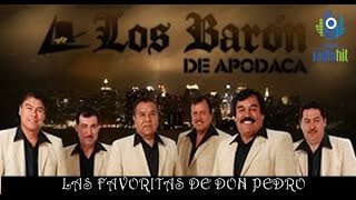 Favoritas de Los Baron de Apodaca Exitos Inmortales [upl. by Allesig]