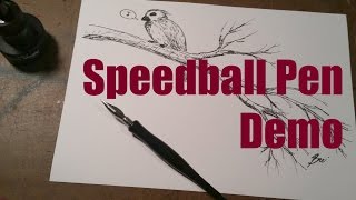 Speedball Pen Demo [upl. by Ahseekal67]