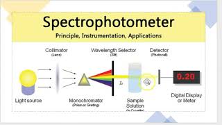 spectrophotometer working principle [upl. by Latsyrk]