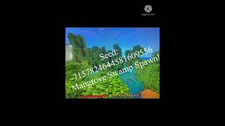 Mangrove Swamp Spawn Seed Minecraft BEDROCK 119 [upl. by Myo]