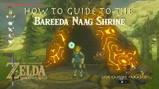 Breath of the Wild  Bareeda Naag Shrine Guide and Location [upl. by Ibbetson234]