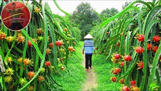 HOW TO TRAVEL VIETNAM CAMBODIA AND LAOS [upl. by Hartman]