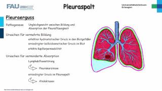 Chirurgie ─ Pleuraspalt Teil 12 [upl. by Zubkoff83]