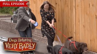 Dogs Behaving Very Badly Series 1  Episode 1  Full Episode [upl. by Vidovic]