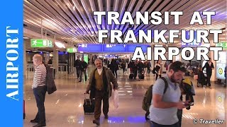 TRANSIT WALK AT FRANKFURT Airport FRA Terminal 1  Connection Flight Transfer Arriving amp Departing [upl. by Serica]