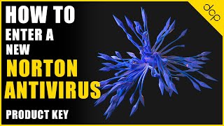 How to enter a new Norton Antivirus Product Key  Tutorial [upl. by Teagan385]