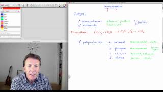 71 Koolhydraten  scheikunde  Scheikundelessennl [upl. by Jelks]